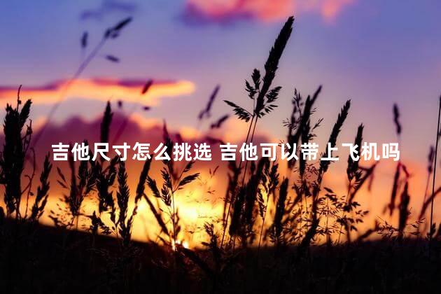 吉他尺寸怎么挑选 吉他可以带上飞机吗